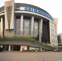Mawar Sharon Kelapa Gading